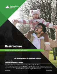 BasicSecure Client Brochure NL