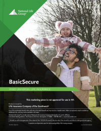 BasicSecure Client Brochure LSW